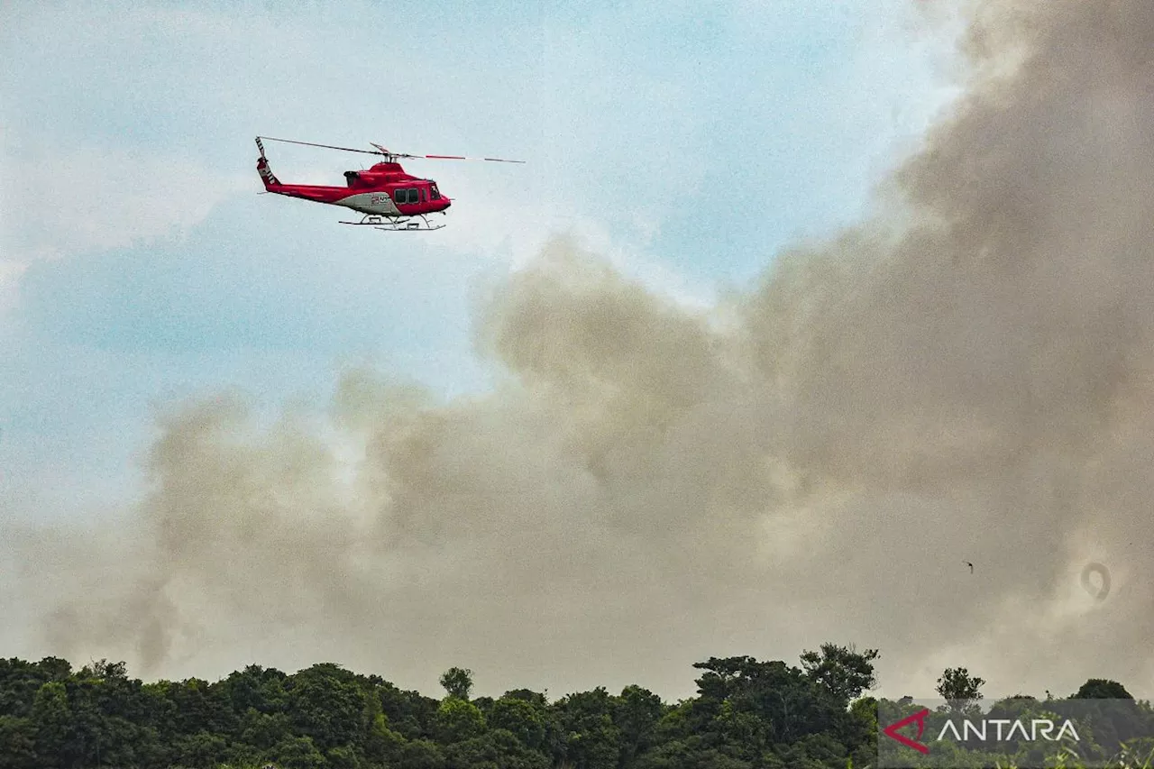 Hanya dalam dua hari, hutan dan lahan seluas 40 hektare terbakar di kabupaten Tanjung Jabung Barat