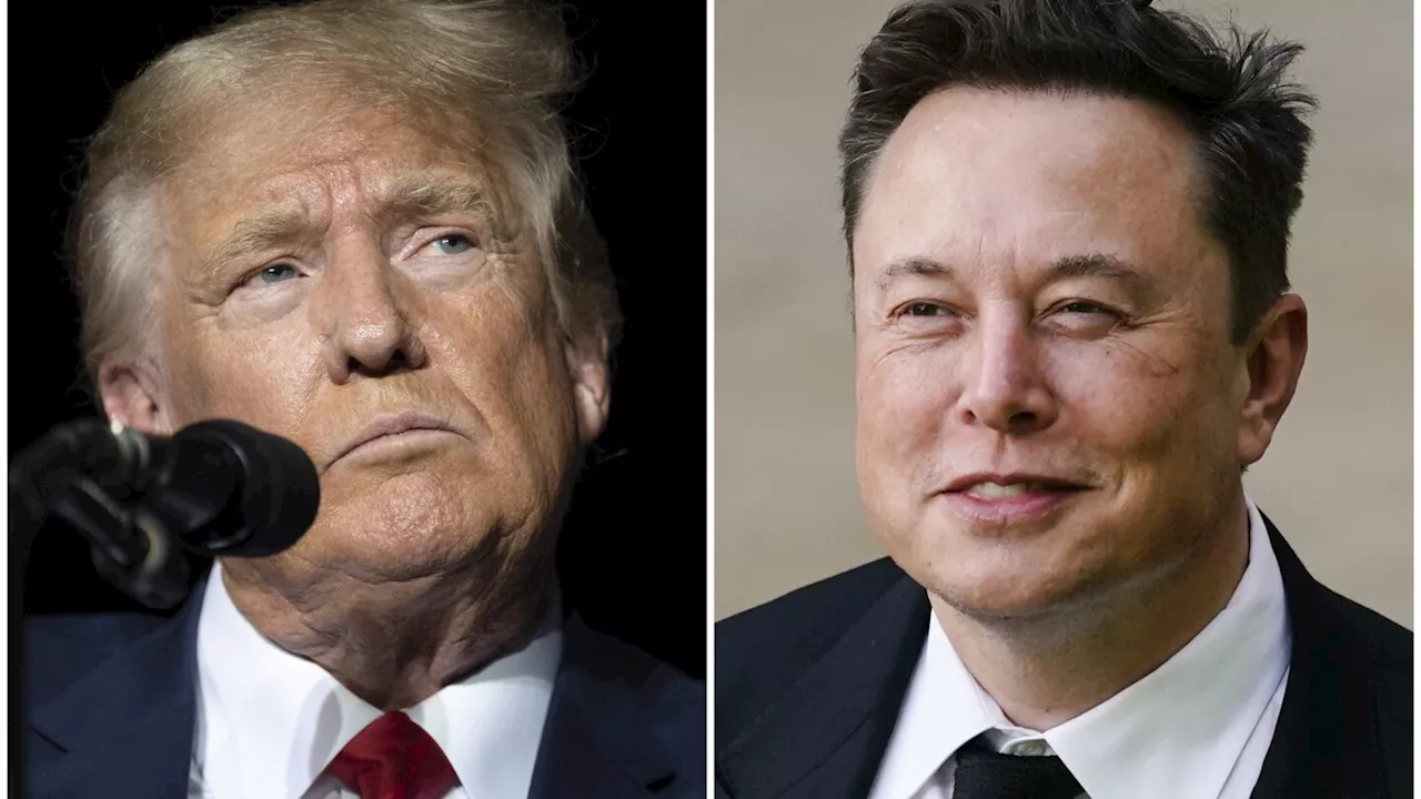 Elon Musk's Trump interview marred by technical glitches, Musk says its a malicious attack