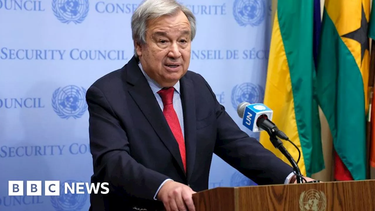 UN chief calls for Africa to get permanent UN Security Council seat