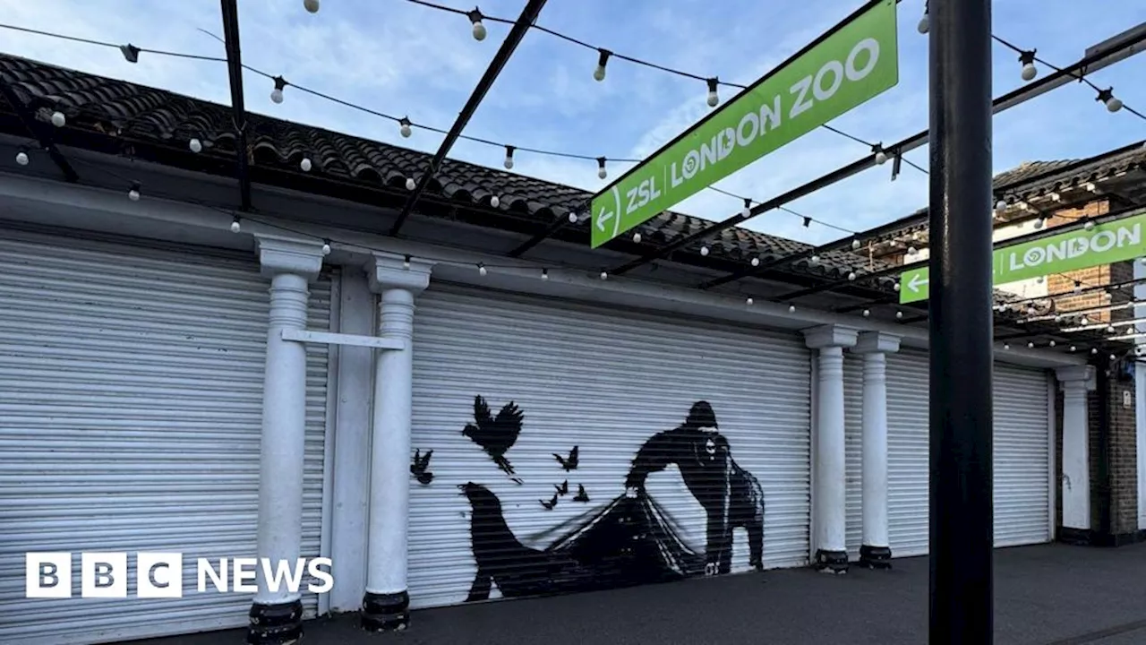 Banksy's latest work appears on London Zoo gates in Camden