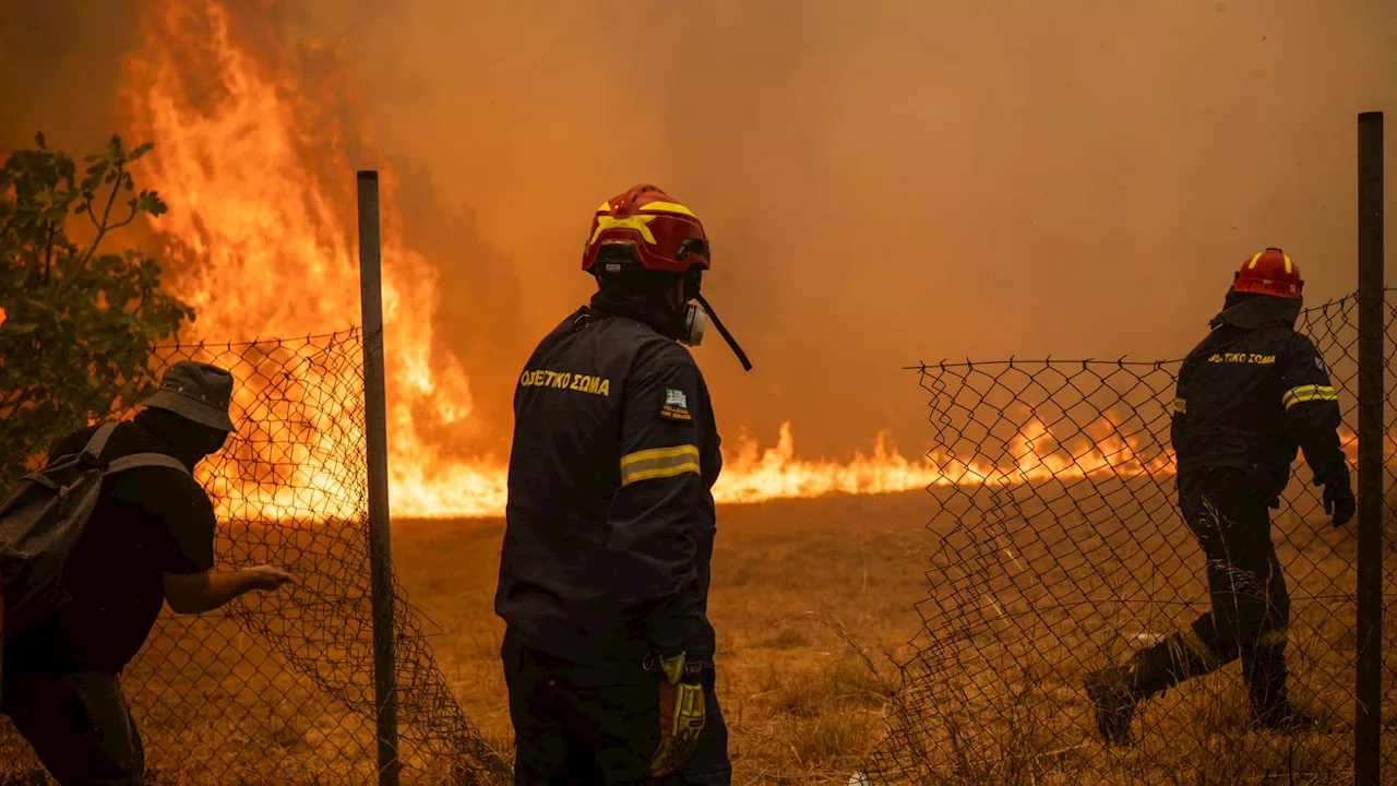 Sécheresse, moyens, 'culture de l'évacuation': pourquoi la Grèce a des difficultés pour contenir les feux