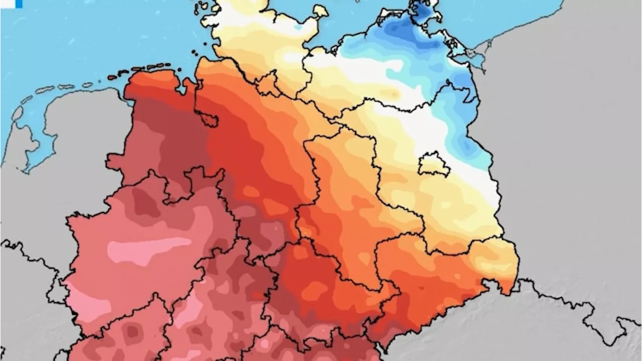 Hammer-Hitze, aber nur zwei Tage: Jetzt kommen die Schweiß-Eiligen