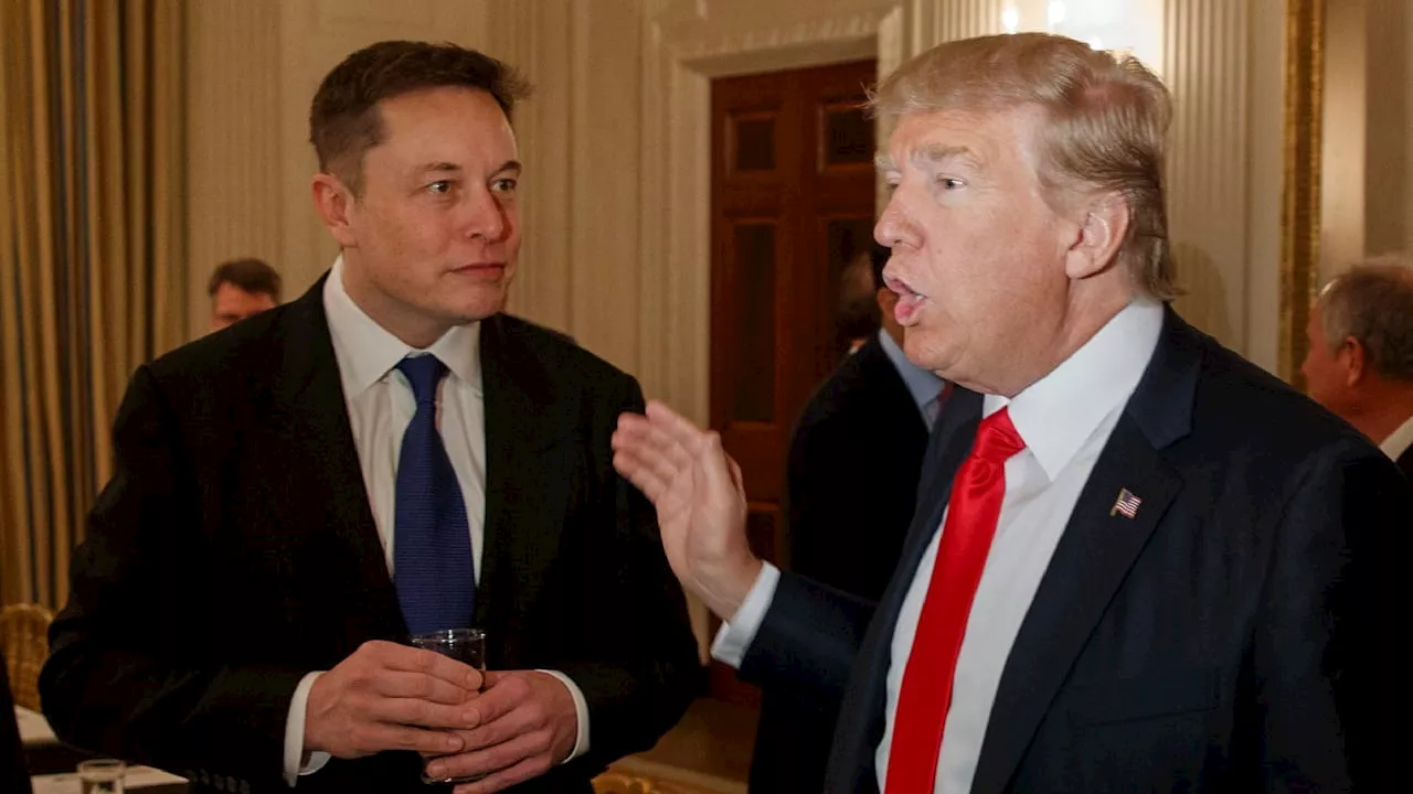 „Sehr freundliches Gespräch“: Musk und Trump plötzlich beste Freunde