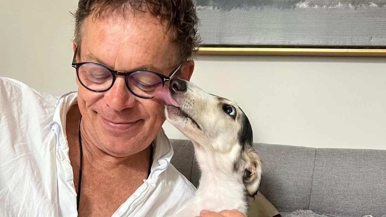 Star-Designer stellt Pierrine vor: Neuer Hund für Guido und Frank