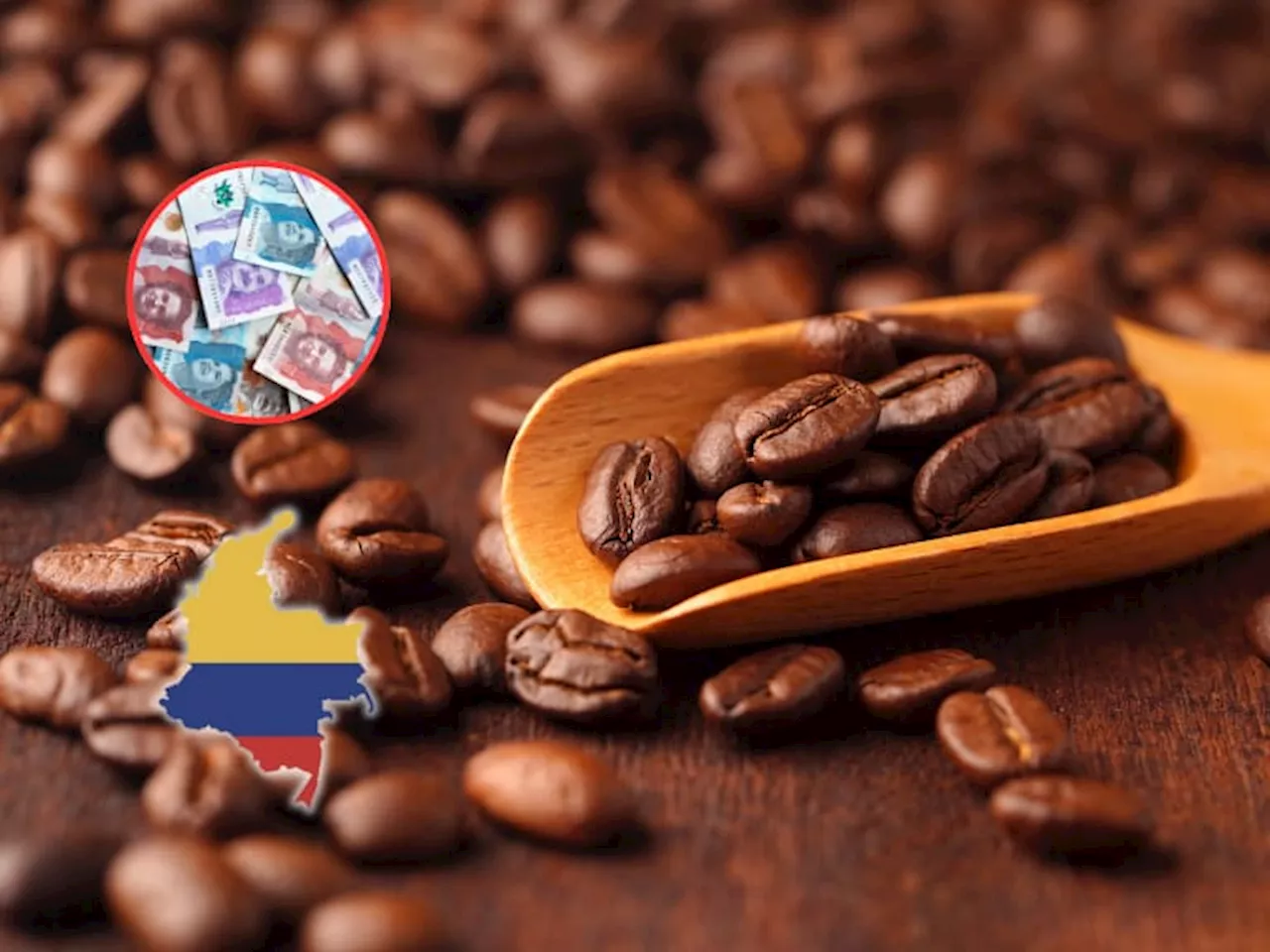 Precio de café en Colombia HOY, 13 de agosto: valor carga Federación Nacional de Cafeteros