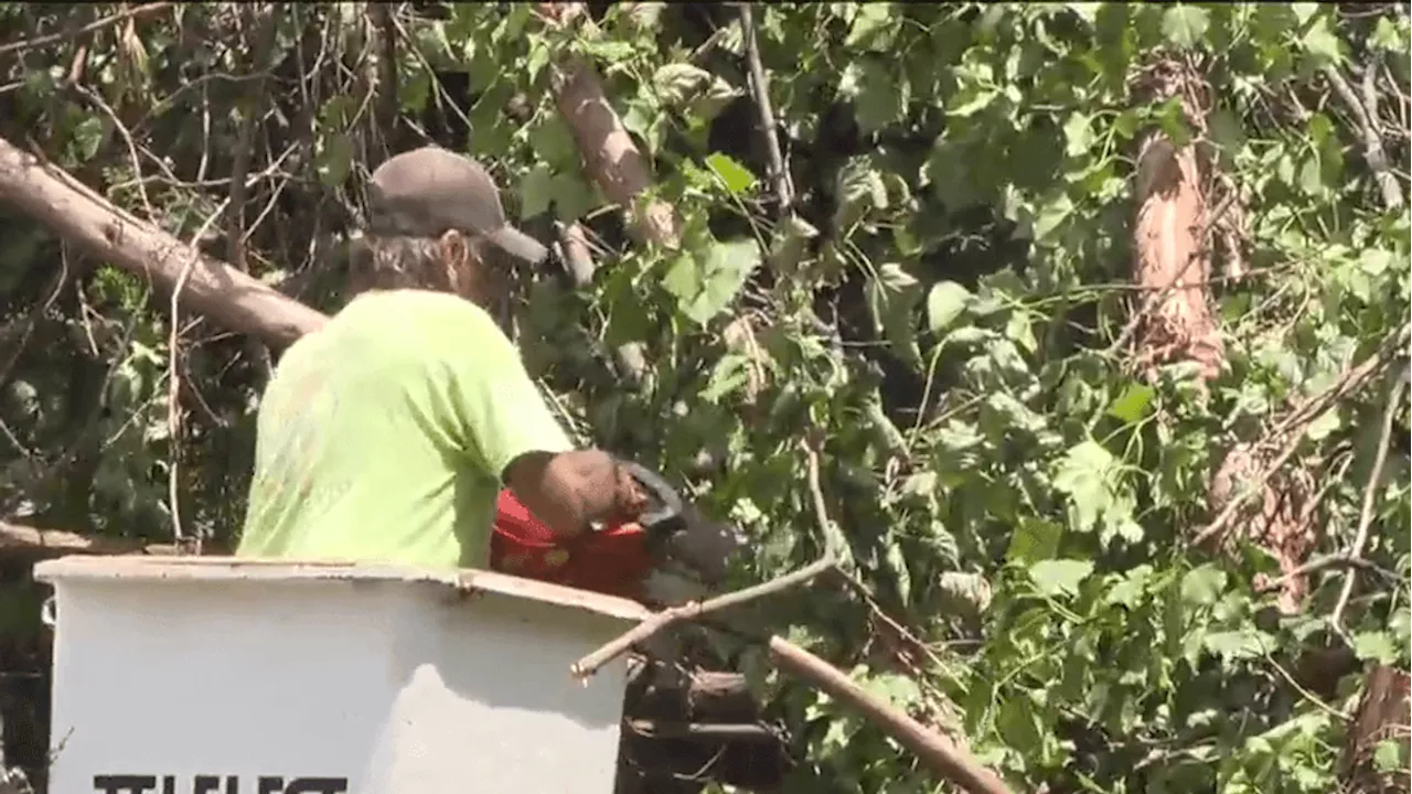 Cleanup is underway around Harrisburg after Ef-1 tornado hit Dauphin County