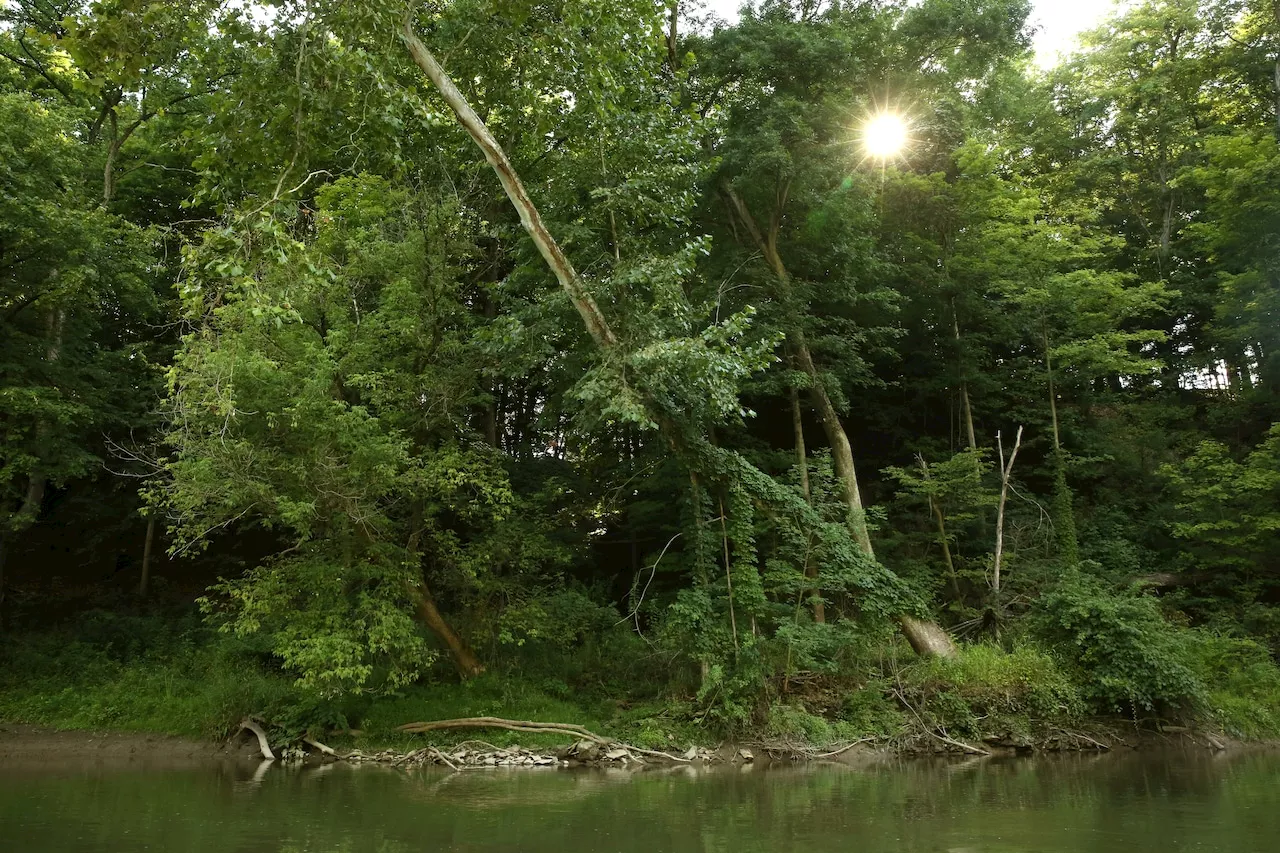 Free youth event to teach fishing fundamentals in Cuyahoga Valley National Park