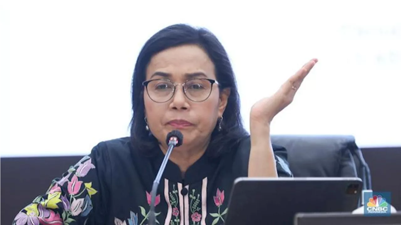 Suntik BUMN Sampai LPDP Rp53,7 T, Sri Mulyani Paparkan Hasilnya!