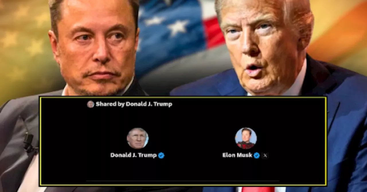 Doinald Trump denunció ante Elon Musk un golpe demócrata, habló de 'enemigos internos' y dijo que Biden está e