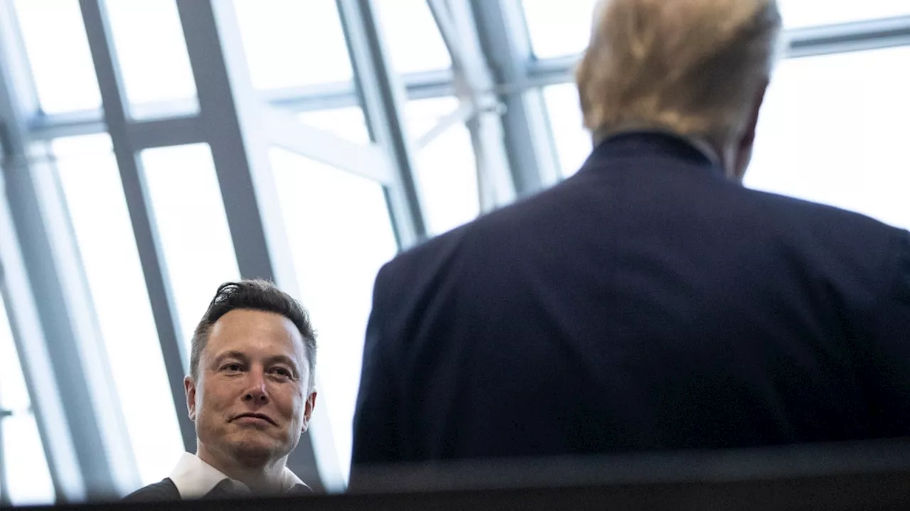 Fact check: Trump made at least 20 false claims in his conversation with Elon Musk