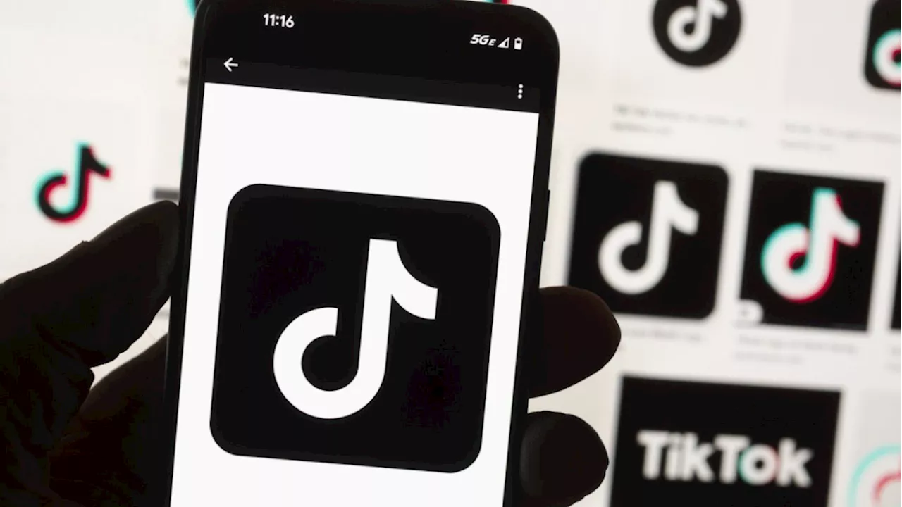 How TikTok became 'very demure, very mindful'