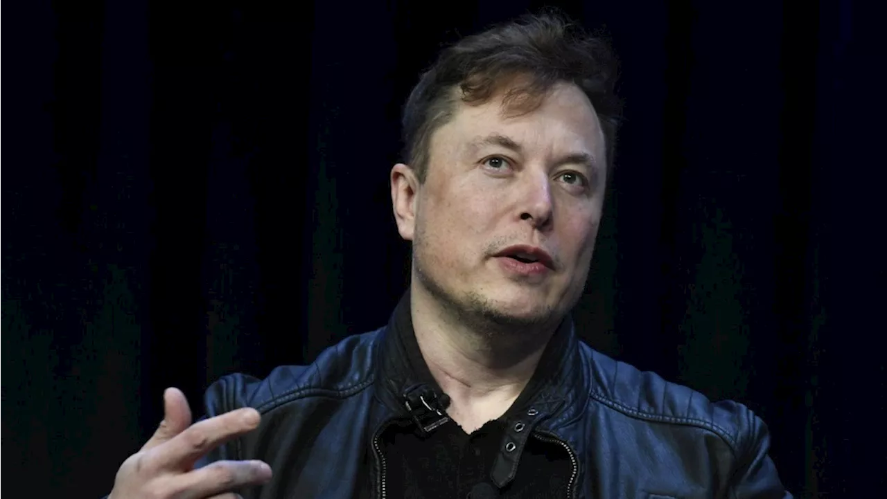 How X owner Elon Musk uses his social platform to amplify his right-wing views: opinion