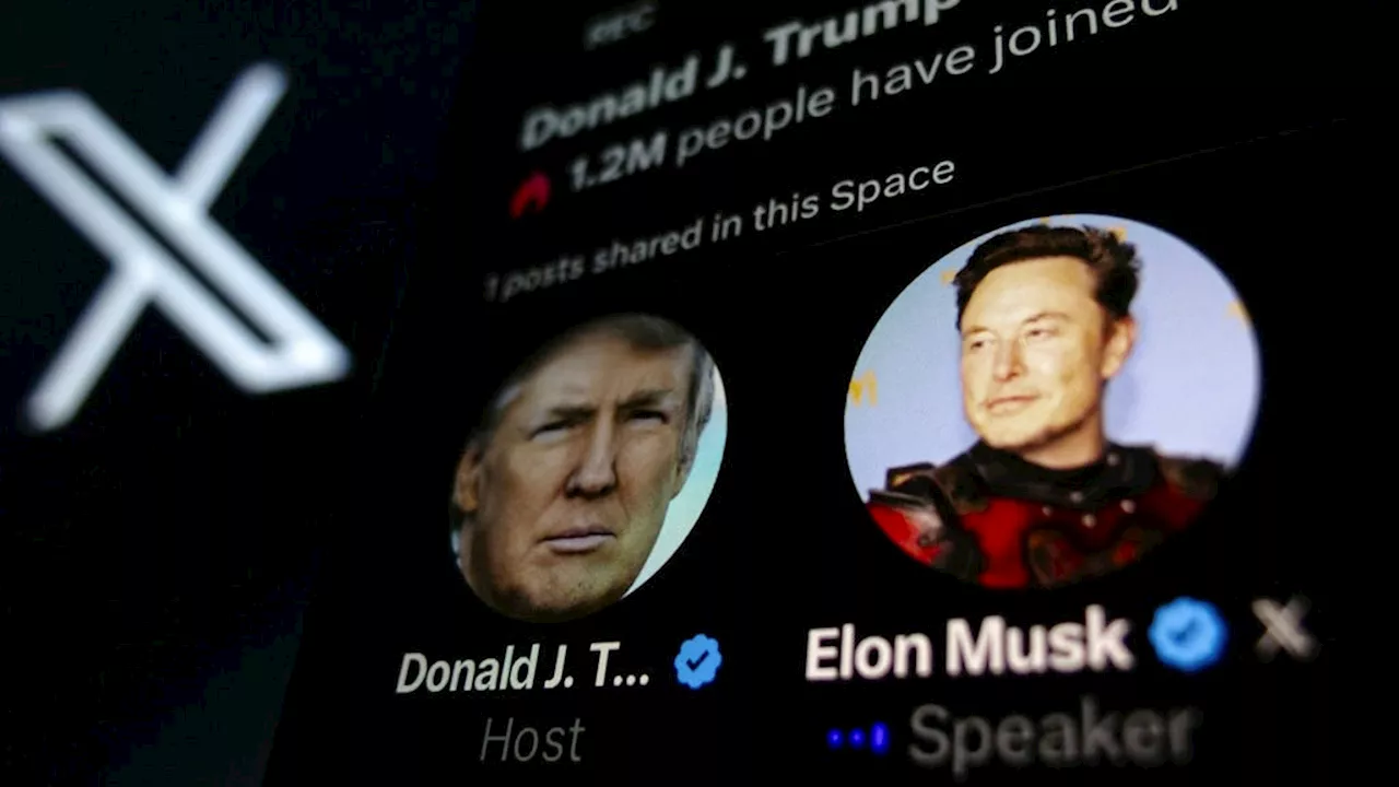 Michael Winiarski: Trump och Musk gosade på X