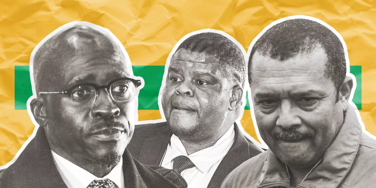 ANC vs State Capturers — seeing is believing, as is real, meaningful action