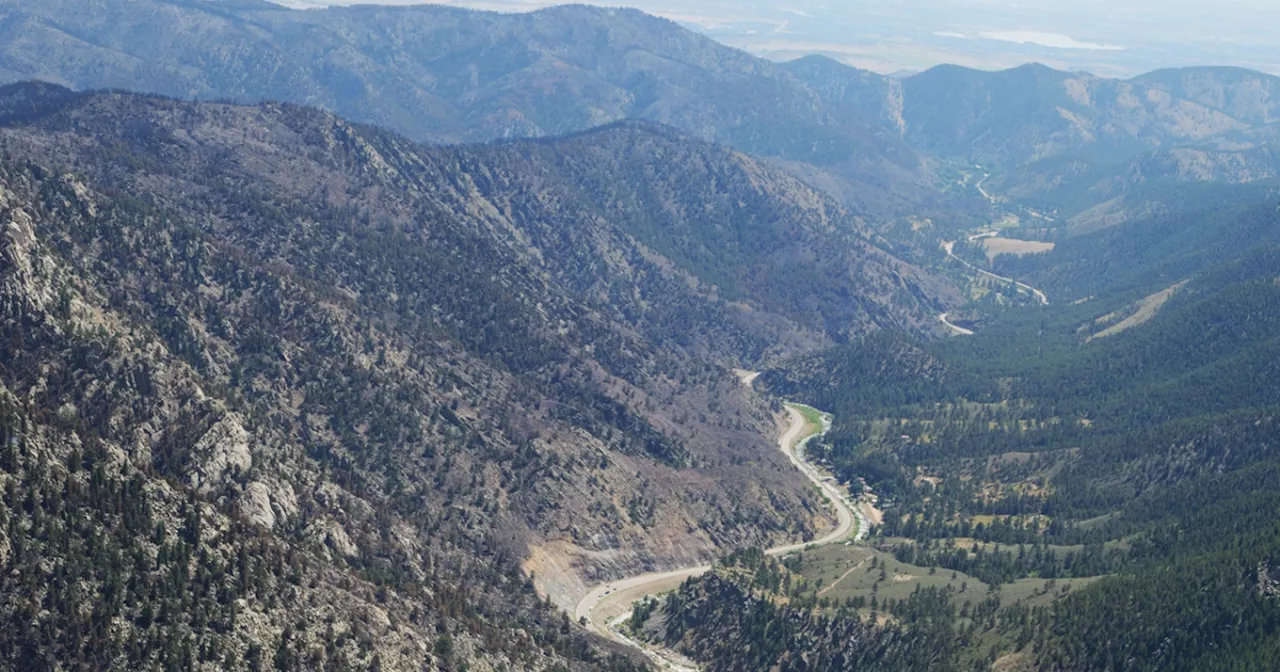 Crews bring Alexander Mountain Fire in Larimer County to near full containment