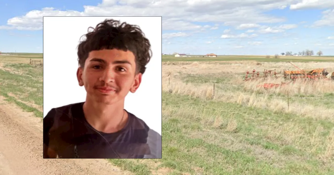 Teen reported missing after crash found dead in field