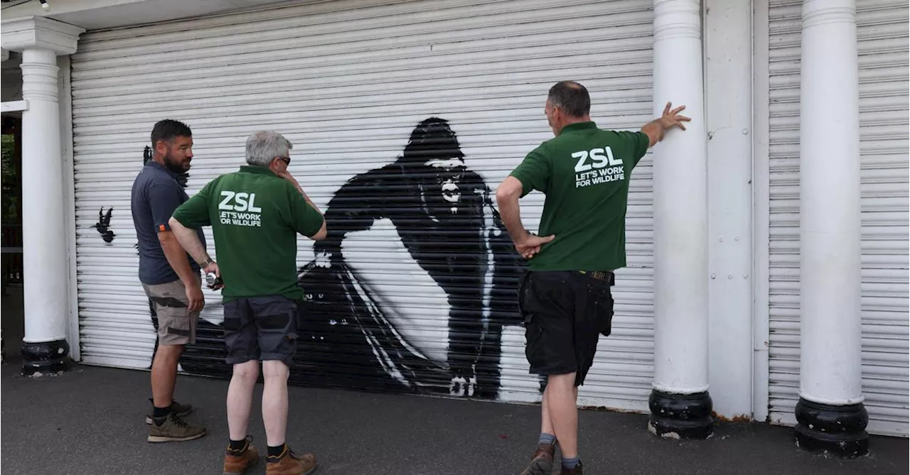 Banksy brachte neuntes (und letztes) Tier am Londoner Zoo an