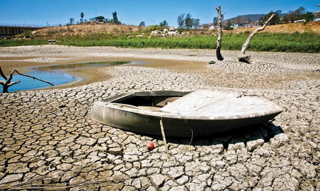 Sequía en México disminuye 33% debido a las lluvias, dice Conagua