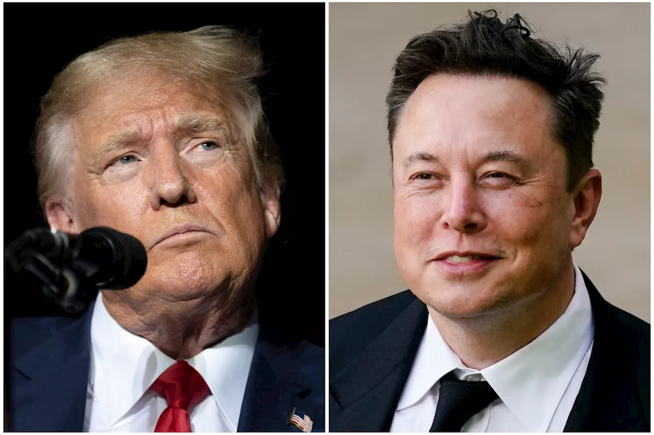 Elon Musk permite a Trump repartir un festín de desinformación en X