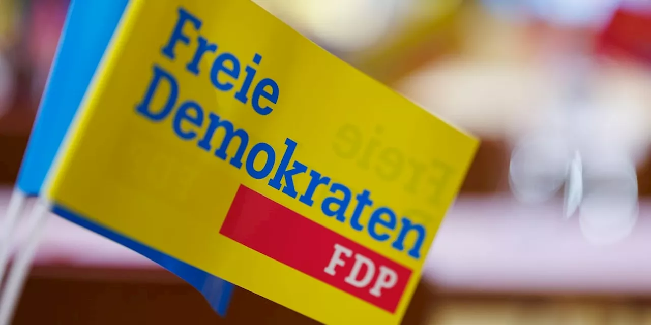 FDP will offenbar Entwicklungsministerium abschaffen