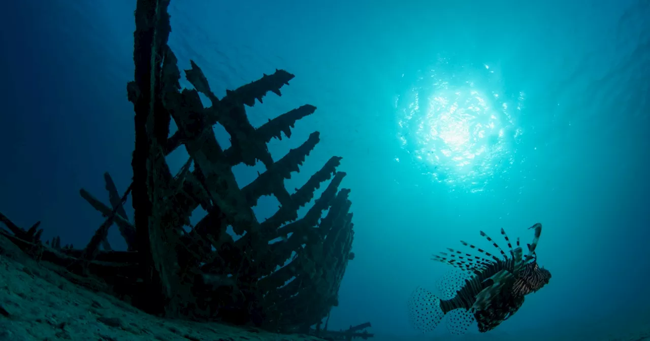 Über 200 Jahre altes Piratenschiff mit seltenen Schätzen im Mittelmeer entdeckt