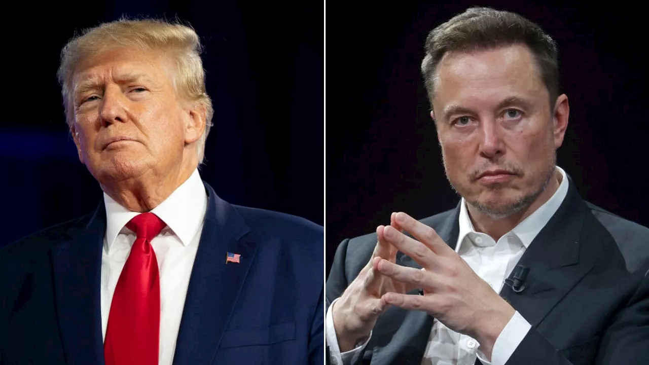 Elon Musk, Donald Trump interview delayed due to cyberattack, Musk claims