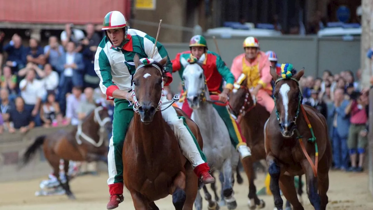 Palio di Siena del 16 agosto: i cavalli assegnati alle dieci Contrade