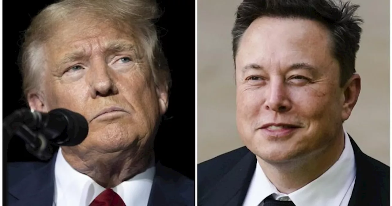 Trump, Musk face labour charges from auto workers’ union over X comments