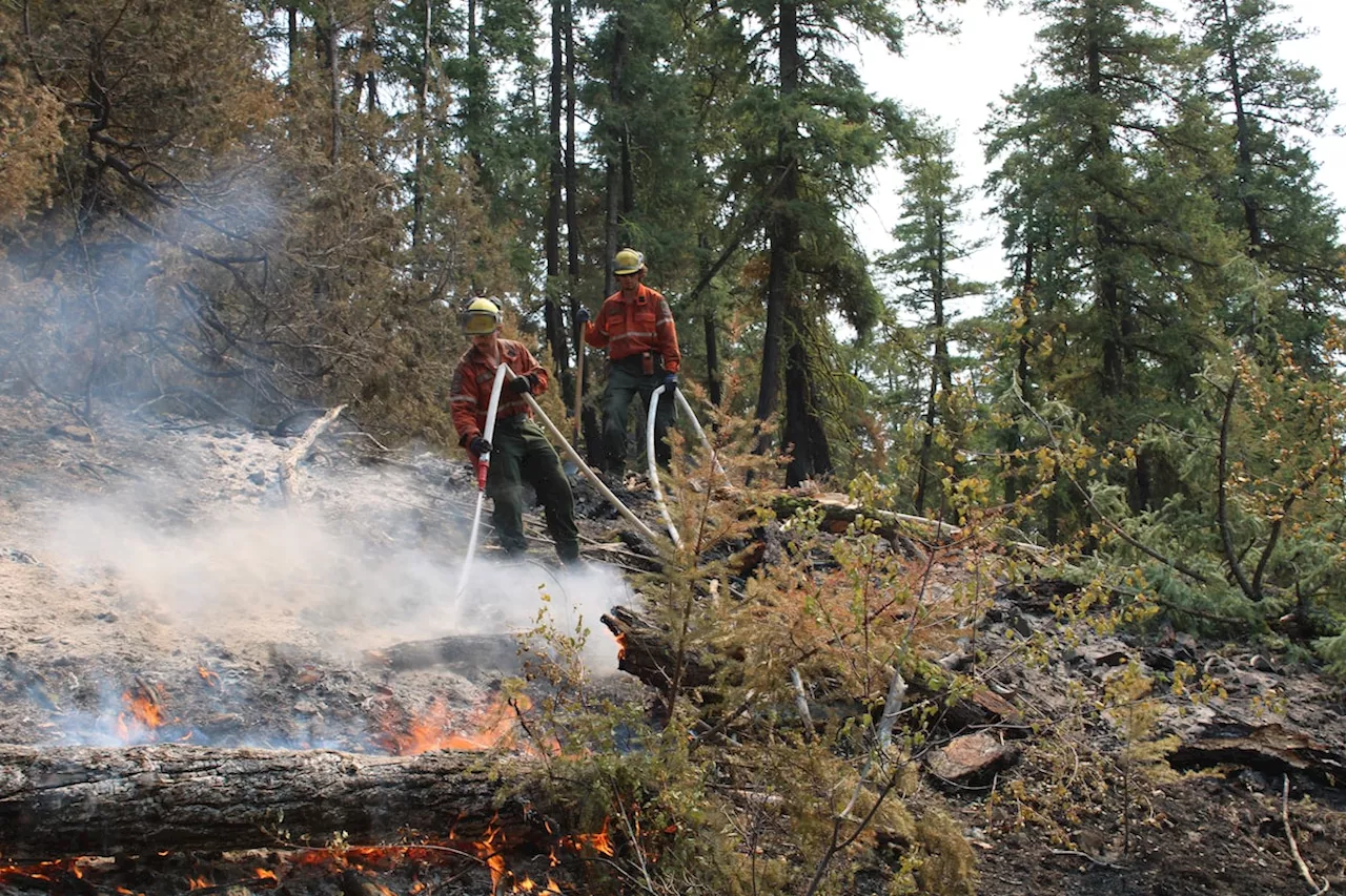 B.C. wildfire costs reach about $387-million so far this year, wildfire service says