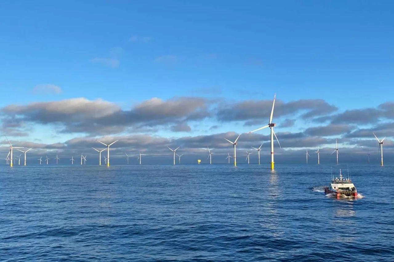 Windenergie: RWE darf zwei weitere Windparks in Nordsee bauen