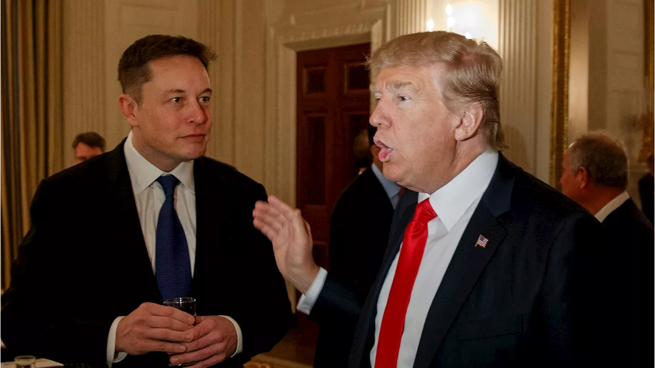 Klima-Nachhilfestunde für Donald Trump von Elon Musk