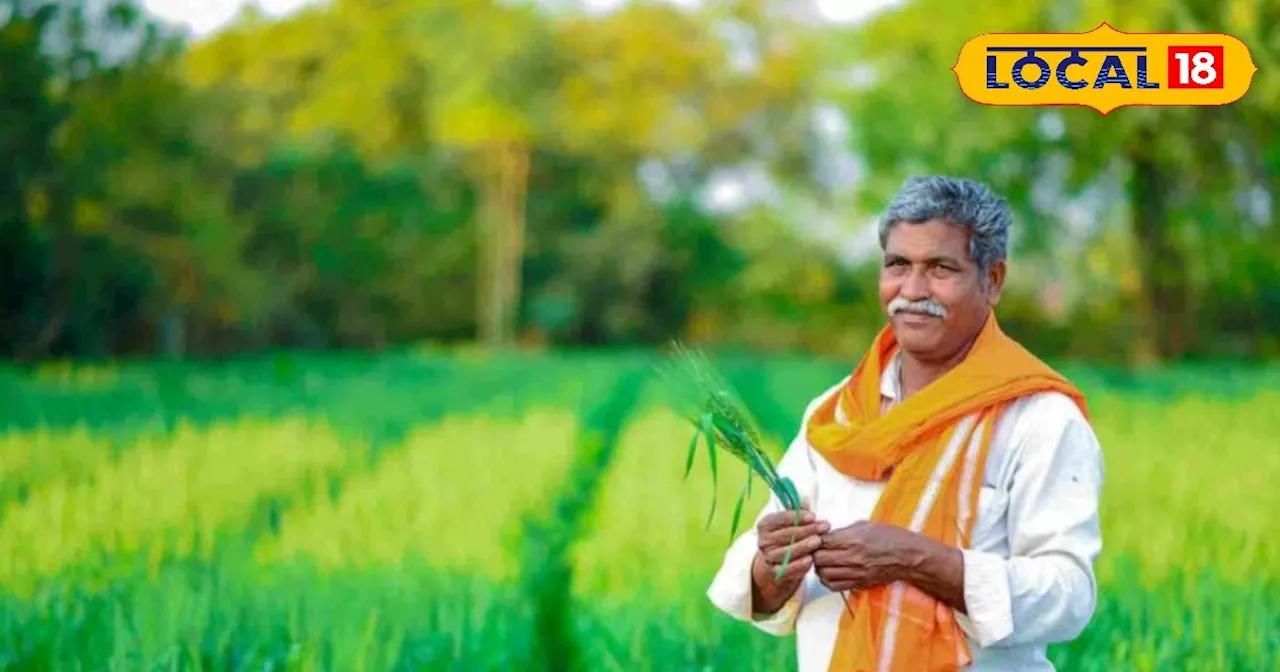 इन किसानों के लिए राहत, अब फसल बीमा कराने की आखिरी तारीख बढ़ी, जानें डिटेल