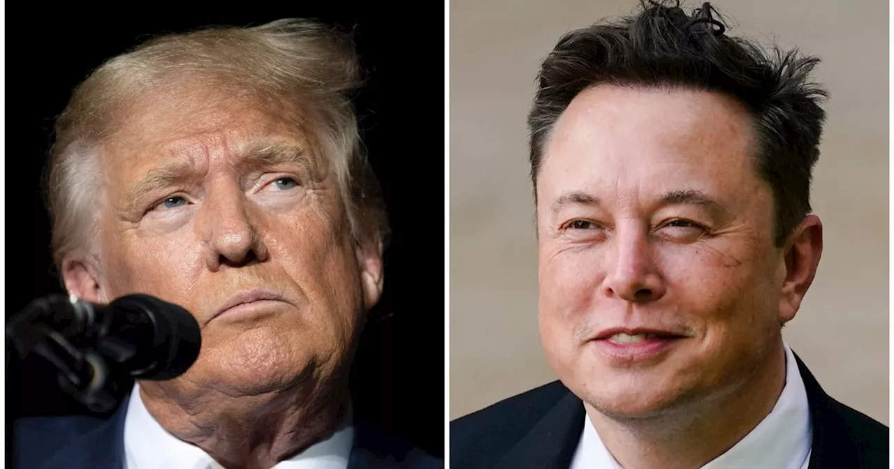 The 5 Wildest Moments From Donald Trump And Elon Musk’s 2-Hour Bro-Fest