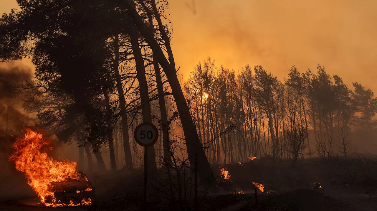 Incendio en Grecia: el fuego amenaza a Atenas y ya hay 50.000 evacuados