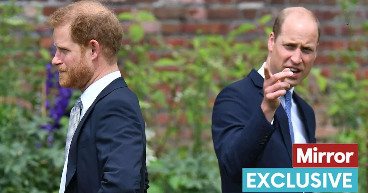 Prince William's response to Harry was not 'warm' but 'engineered by the palace'