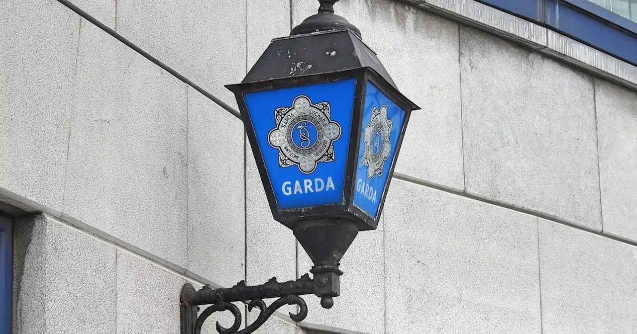 Investigations launched into death of man (60s) attacked by bull on Co Limerick farm