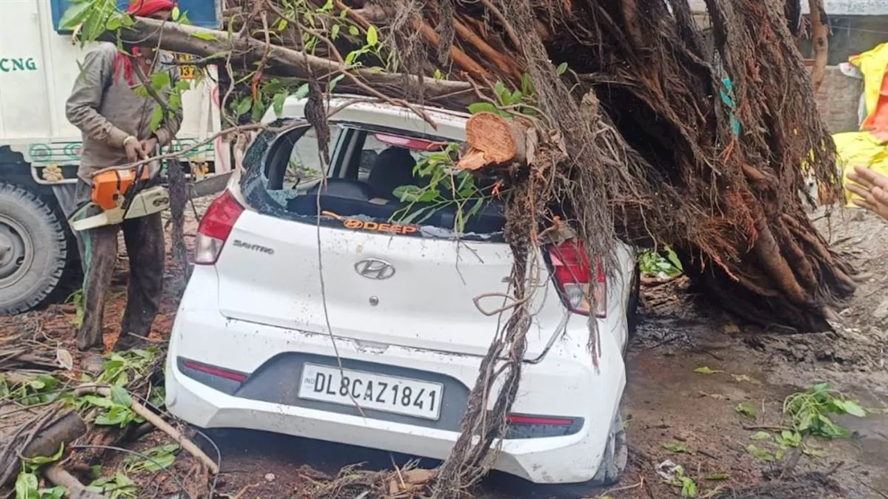 नहीं थम रही बारिश: टूटे पेड़ तो कहीं डूबी सड़कें, राजधानी पर मंडरा रहा खतरा; तस्वीरों में देखें NCR के हालात