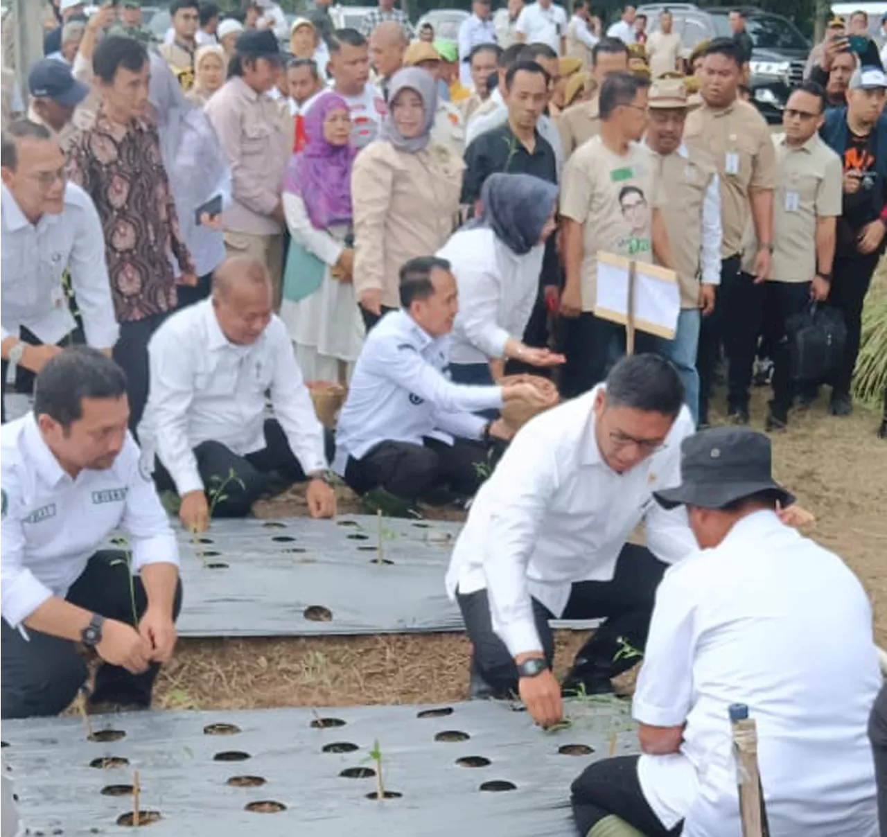 Wamentan Sudaryono Ingin Deli Serdang jadi Sentra Produksi Pangan di Sumut