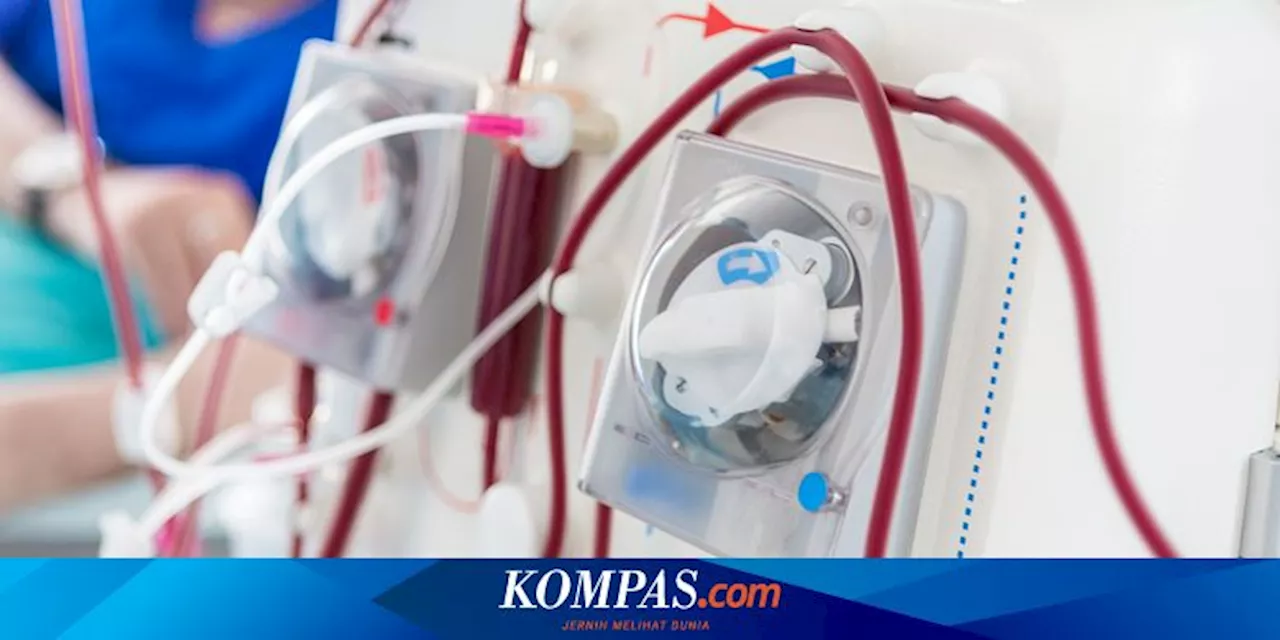 Dosen Unesa: 6 Hal yang Harus Dilakukan Ortu untuk Cegah Gagal Ginjal pada Anak