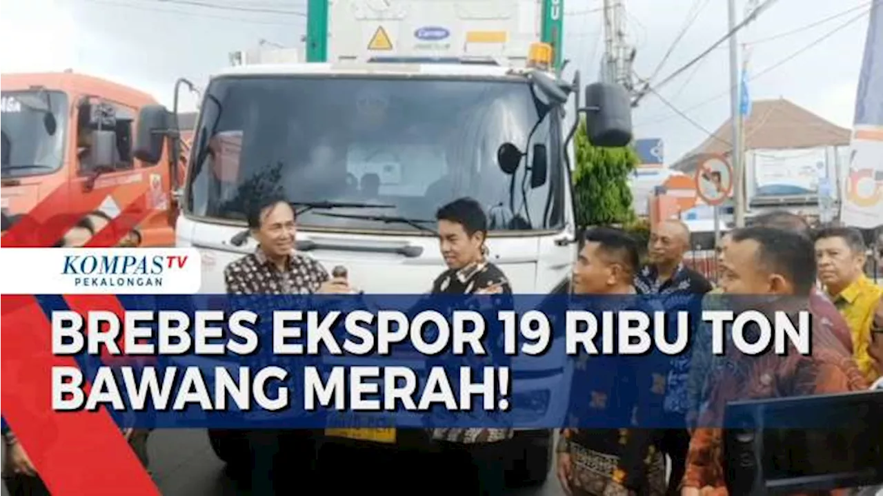 Festival Bawang Merah 2024: Brebes Ekspor 19 Ribu Ton Bawang Merah ke 4 Negara Asia Tenggara