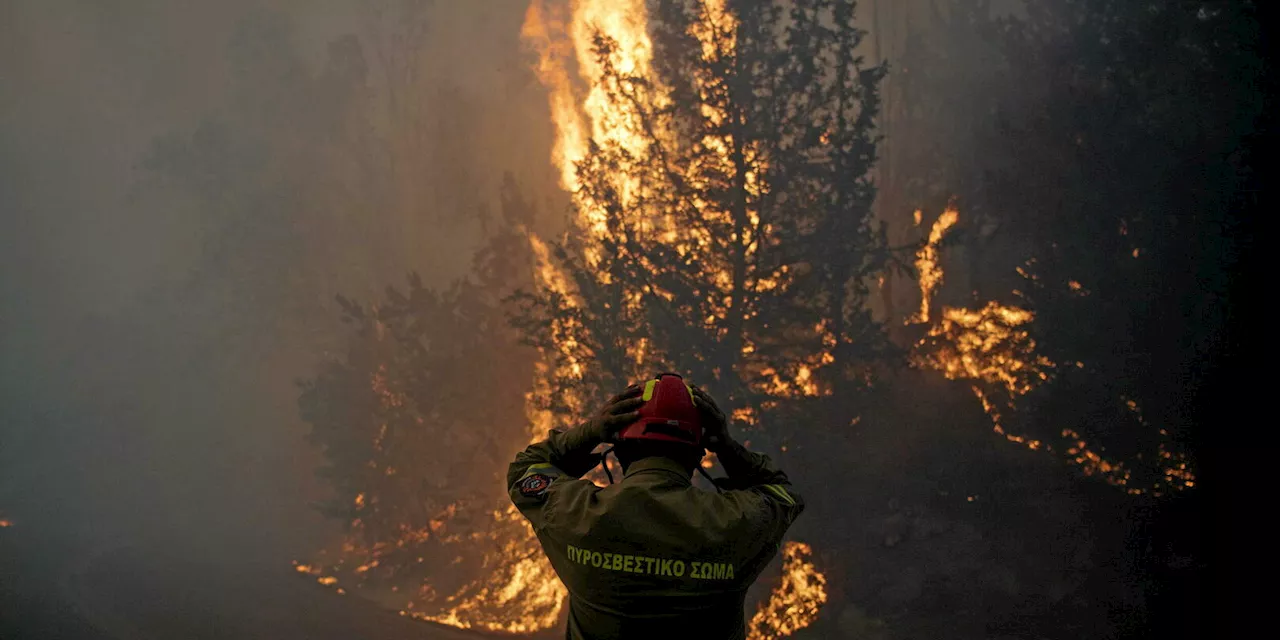 Feux de forêt en Grèce : le point sur la situation ce mardi