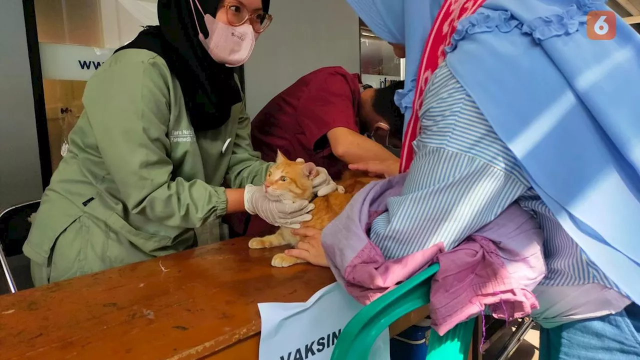 Antusiasme Ratusan Pecinta Hewan Saat Periksa Kesehatan Gratis di Sukabumi