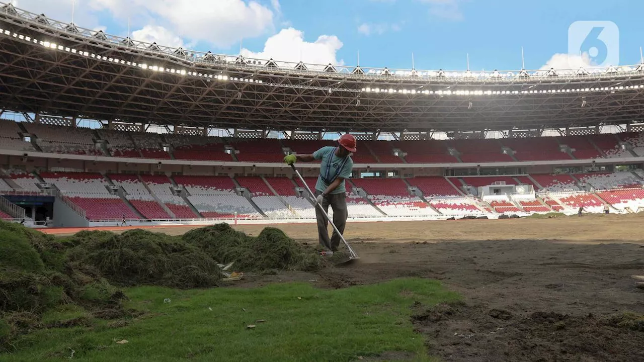 Dipakai Gelar Laga Timnas Indonesia vs Australia, PPKGBK Buka-bukaan soal Kondisi Rumput Stadion: Masih Pematangan