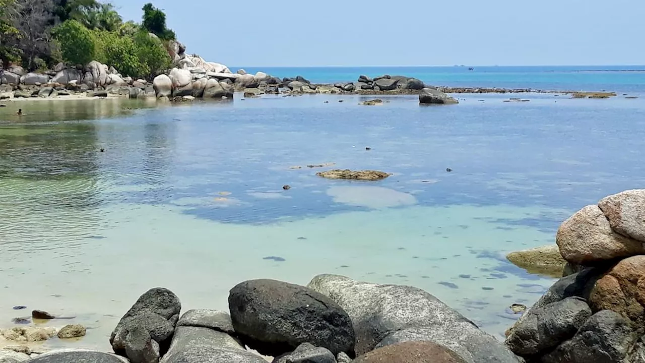 Intip Pesona Pantai Trikora, Wisata Alam Cantik di Pulau Bintan