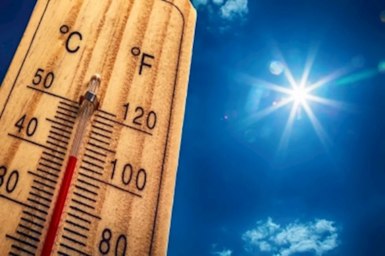 It’s official: Hottest July ever puts 2024 on track to be toastiest year on record