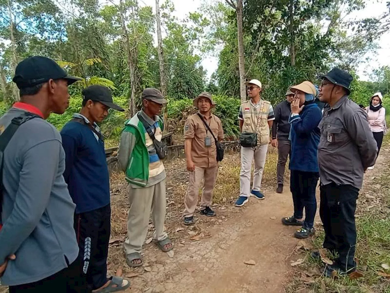 Kementan Soroti Pentingnya Perluasan Areal Tanam