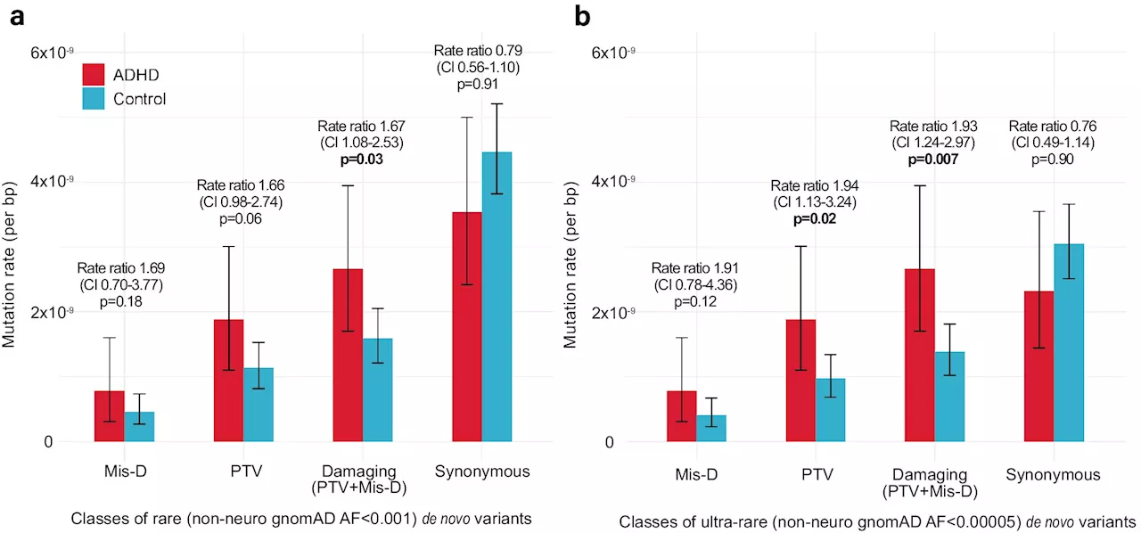 ADHD and DNA: International study sheds light on genetics