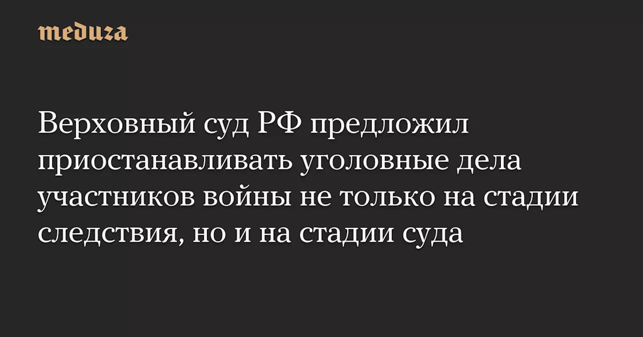 Верховный суд РФ предложил приостанавливать уголовные дела участников войны не только на стадии следствия, но и на стадии суда — Meduza