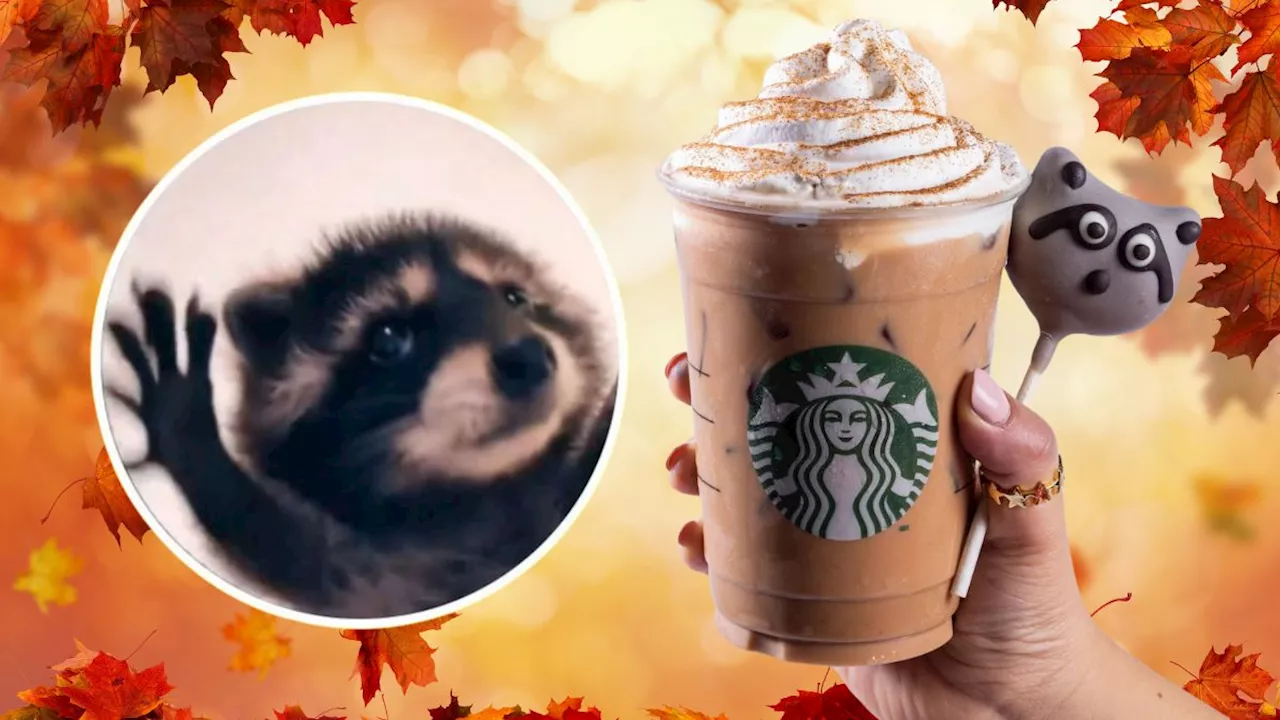 Pedro, Pedro, Pedro, Pe… Starbucks sorprende con una cake pop mapache