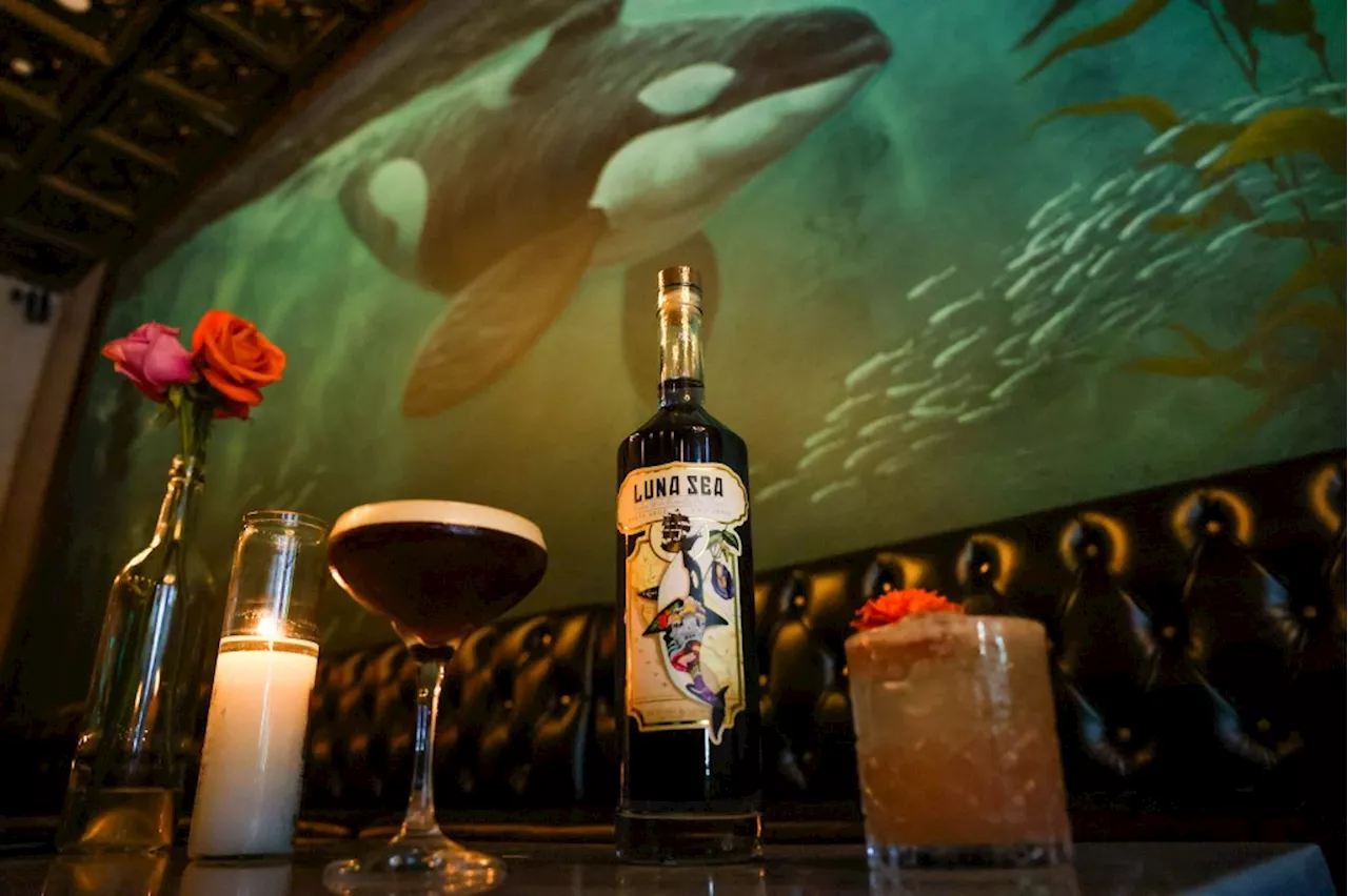 3 Bay Area sea-themed bars to spark your nautical curiosity